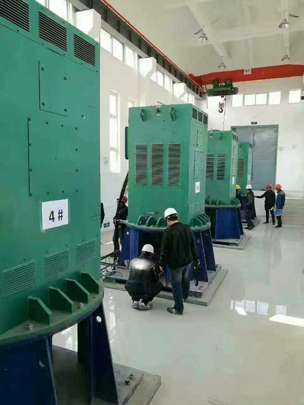 昌吉某污水处理厂使用我厂的立式高压电机安装现场